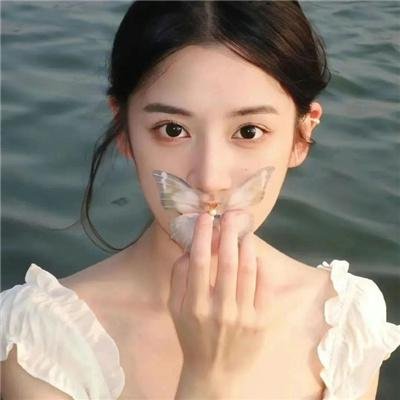 鉴你所见:花露森林