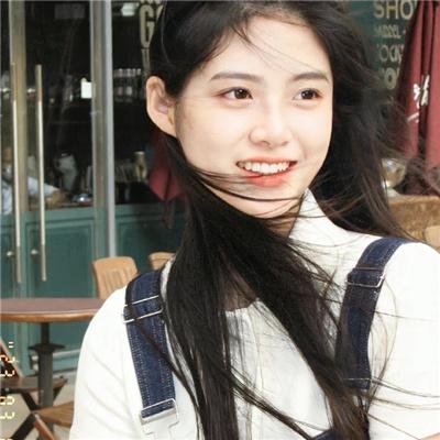 企鹅之岛:福克兰