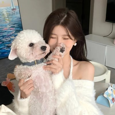 伪装